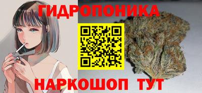 a pvp Гай