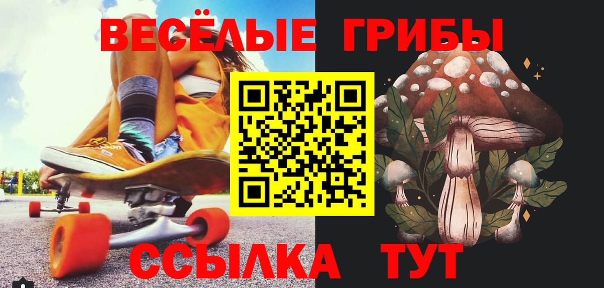 Псилоцибиновые грибы Cubensis  Вход с VPN  Псилоцибиновые грибы MAGIC MUSHROOMS  Красноперекопск 