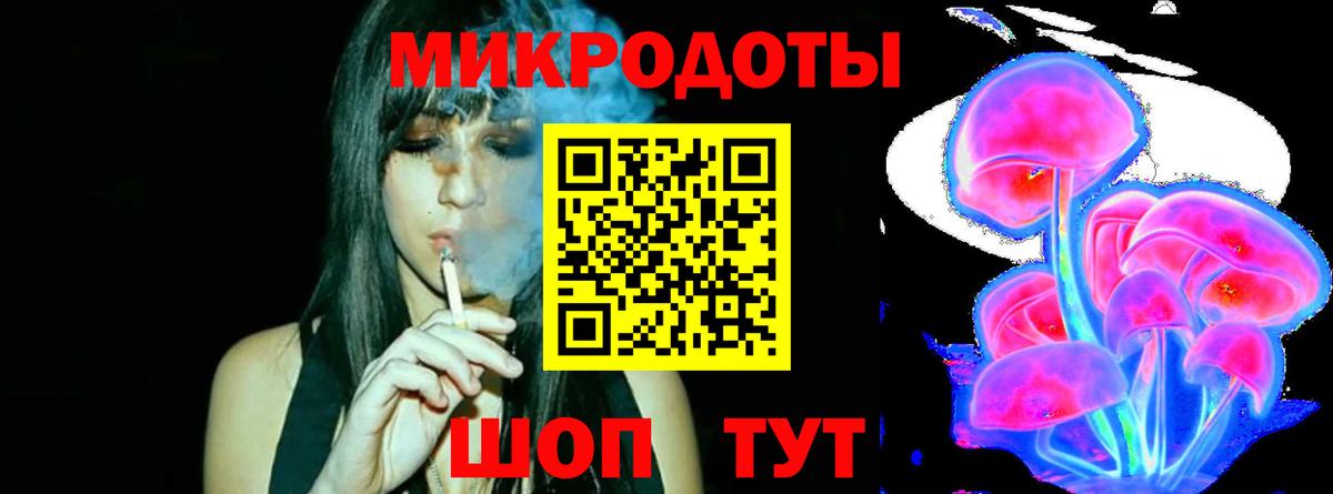 Галлюциногенные грибы Psilocybe Красноперекопск